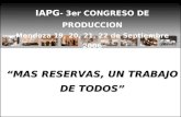 IAPG - 3er CONGRESO DE PRODUCCION Mendoza 19, 20, 21, 22 de Septiembre 2006