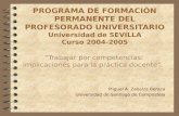 “ Trabajar por competencias: implicaciones para la práctica docente". Miguel A. Zabalza Beraza
