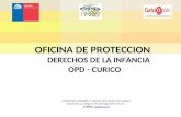 OFICINA DE PROTECCION         DERECHOS DE LA INFANCIA OPD - CURICO
