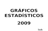 GRÁFICOS ESTADÍSTICOS 2009
