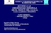 ACCESO A LA  UNIVERSIDAD ESPAÑOLA  EN EL MARCO DEL E.E.E.S. Curso académico 2010/2011