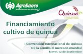 Financiamiento cultivo de quinua