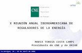 X REUNIÓN ANUAL IBEROAMERICANA DE REGULADORES DE LA ENERGÍA
