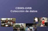 CBMS-GRB  Colección de datos