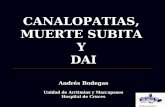 CANALOPATIAS,  MUERTE SUBITA  Y  DAI Andrés Bodegas Unidad de Arritmias y Marcapasos