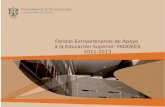 Fondos Extraordinarios de Apoyo  a la Educación Superior: FADOEES 2011-2013