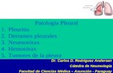 Patolog­a Pleural  Pleuritis  Derrames pleurales  Neumot³rax  Hemot³rax  Tumores de la pleura