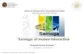 Samoga: el museo interactivo