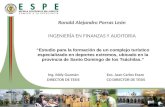 Ronald Alejandro Porras León INGENIERÍA EN FINANZAS Y AUDITORIA