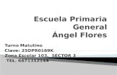 Escuela Primaria General  Ángel Flores