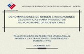 DENOMINACIONES DE ORIGEN E INDICACIONES GEOGRAFICAS PARA PRODUCTOS SILVOAGROPECUARIOS EN CHILE