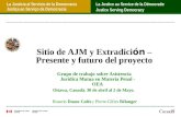 Sitio de AJM y Extradici ón  – Presente y futuro del proyecto