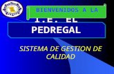 I.E. EL PEDREGAL