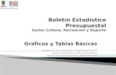 Boletín Estadístico Presupuestal Sector Cultura, Recreación y Deporte