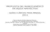 PROPUESTA DEL MANEJO KINÉSICO EN VEJIGA HIPERACTIVA GUÍAS CLÍNICAS PARA MINSAL 2013