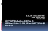 SUSTENTABILIDAD AMBIENTAL EN IBEROAMÉRICA: EL ROL DE LAS INSTITUCIONES LOCALES