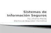 Sistemas de Información Seguros