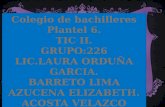 Colegio de bachilleres Plantel 6. TIC II. GRUPO:226 LIC.LAURA ORDUÑA GARCIA.