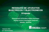 RESIDUOS DE APARATOS ELECTRICOS Y ELECTRONICOS Uruguay Departamento de Residuos Sólidos Especiales