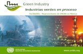 Industrias verdes  en proceso         Kai Bethke - Representante de ONUDI en México