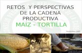 RETOS  Y PERSPECTIVAS DE LA CADENA PRODUCTIVA  MAÍZ - TORTILLA