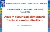 Informe sobre Desarrollo Humano Perú 2012