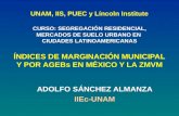 ADOLFO SÁNCHEZ ALMANZA IIEc-UNAM