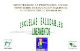 MINISTERIO DE LA PROTECCIÓN SOCIAL  MINISTERIO DE EDUCACIÓN NACIONAL GOBERNACIÓN DE RISARALDA