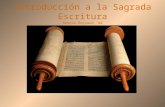 Introducción a la Sagrada Escritura Rebeca Reynaud  44