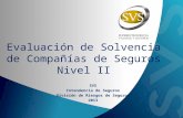 Evaluación de Solvencia de Compañías de Seguros Nivel II