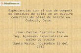 Juan Carlos Castillo Taco Ing. Agrónomo Especialista en palma de aceite