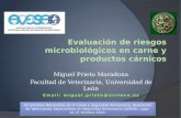 Evaluación de riesgos microbiológicos en carne y productos cárnicos