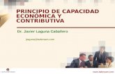 PRINCIPIO DE CAPACIDAD ECONÓMICA Y CONTRIBUTIVA