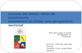 Causas del menor ritmo de crecimiento económico  en Chile: una perspectiva sectorial