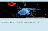 Técnicas de estudio en Biología celular