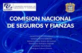 COMISION NACIONAL DE SEGUROS Y FIANZAS