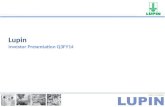 Lupin Investor Presentation Q3FY14