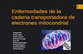 Enfermedades de la cadena transportadora de electrones mitocondrial