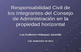 Responsabilidad Civil de los Integrantes del Consejo de Administración en la propiedad horizontal