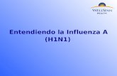 Entendiendo la Influenza A (H1N1)