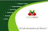 “ El vale electrónico de México”
