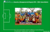 Derecho y Management del Deporte FIFA – CIES. Sexta Edición