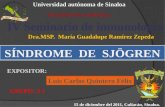 Universidad autónoma de Sinaloa