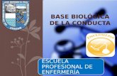 BASE BIOLÓGICA DE LA CONDUCTA
