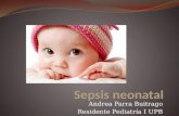 Sepsis  neonatal