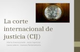 La corte internacional de justicia (CIJ)