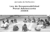 Jornada de Reflexión: Ley  de Responsabilidad  Penal Adolescente  20084
