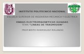 INSTITUTO POLITECNICO NACIONAL  ESCUELA SUPERIOR DE INGENIERIA MECANICA Y ELECTRICA