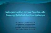 Interpretación de las Pruebas de Susceptibilidad Antibacterianas