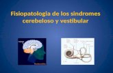 Fisiopatologia de los sindromes  cerebeloso y vestibular